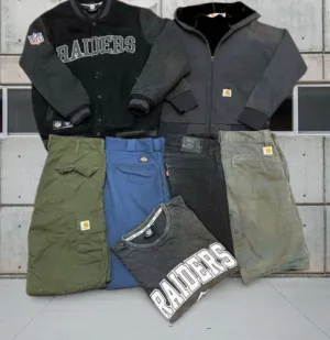 Carhartt NFL Dickies Levi's jkt t shirt pant shirt pcs 10