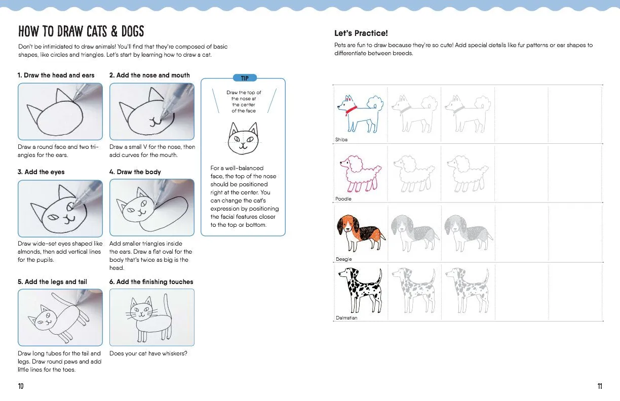 How to Draw Almost Everything For Kids Paperback Book