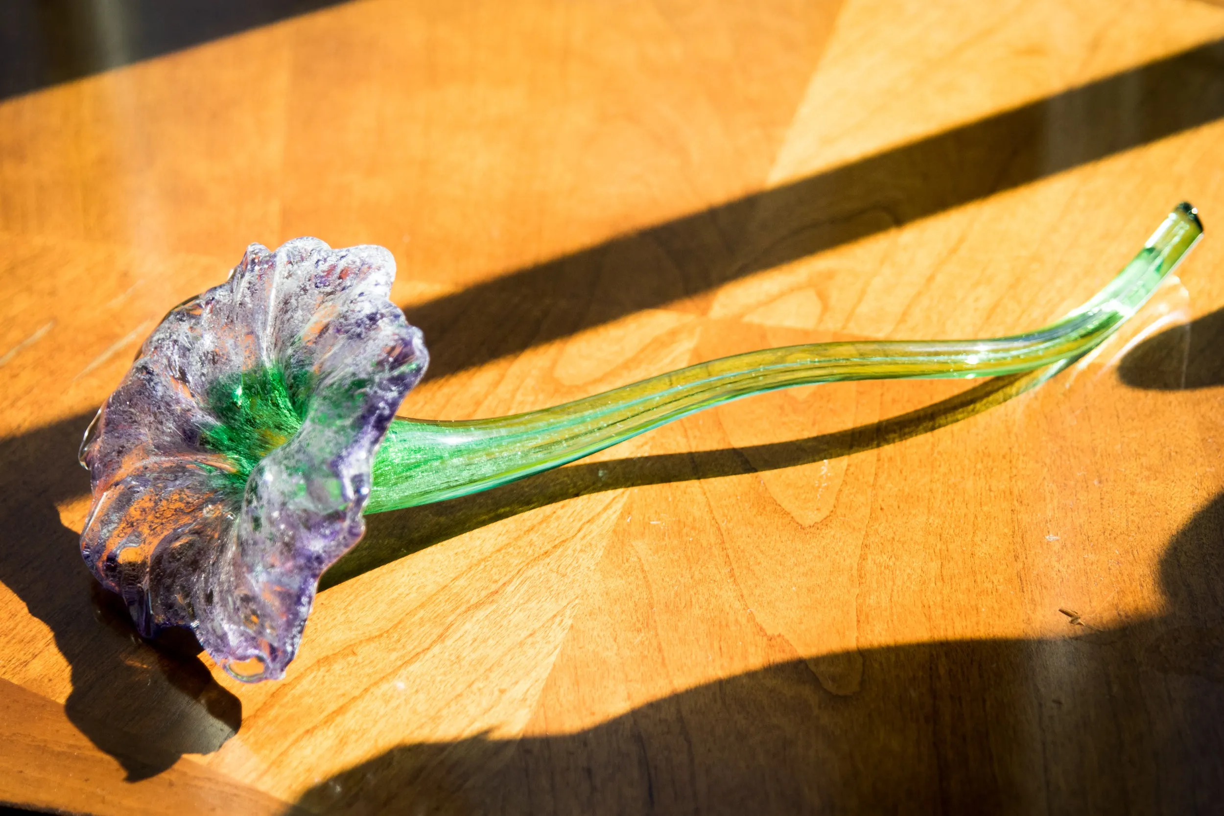 Vibrant Memorial Flower with Cremation Ash