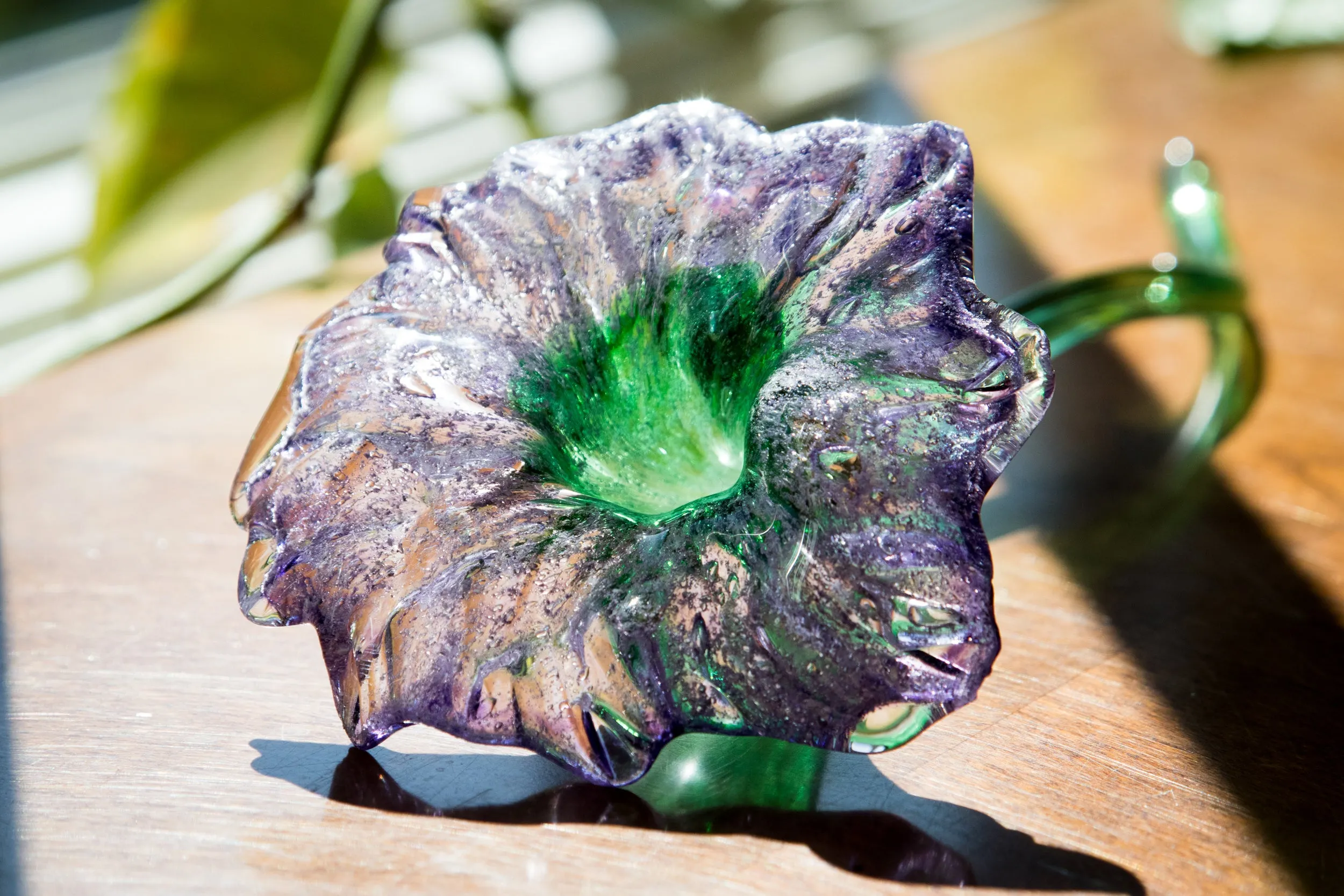 Vibrant Memorial Flower with Cremation Ash